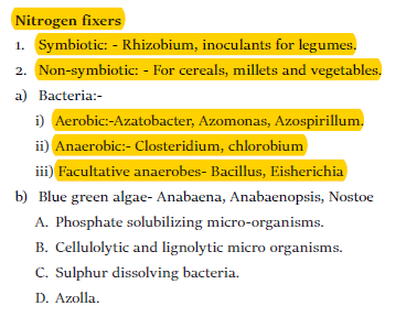 Nitrogen Fixers