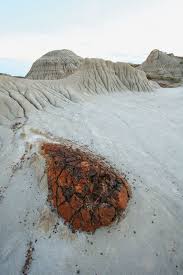 Landforms-image9-00085771.jpg